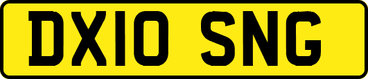 DX10SNG