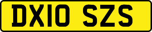DX10SZS