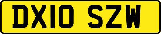 DX10SZW