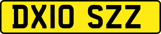 DX10SZZ