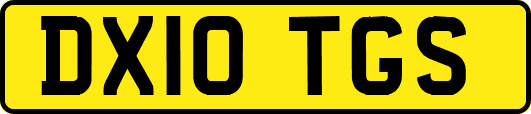 DX10TGS