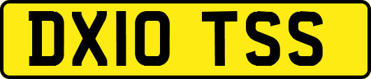 DX10TSS