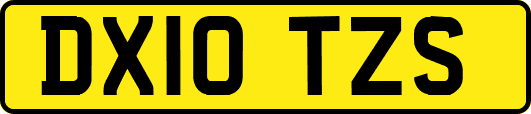DX10TZS