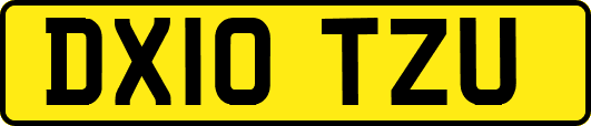 DX10TZU