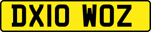 DX10WOZ