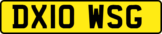 DX10WSG