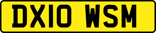 DX10WSM