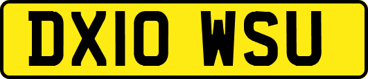 DX10WSU