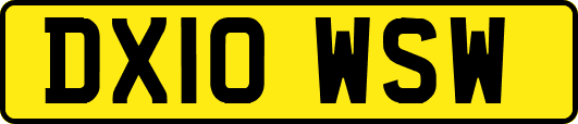 DX10WSW