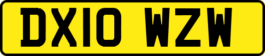 DX10WZW
