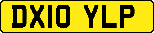 DX10YLP