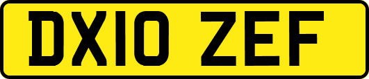 DX10ZEF