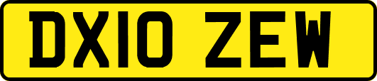 DX10ZEW