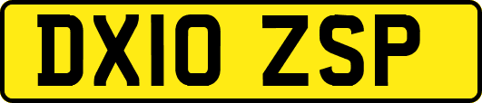 DX10ZSP