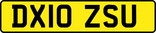 DX10ZSU