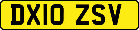 DX10ZSV