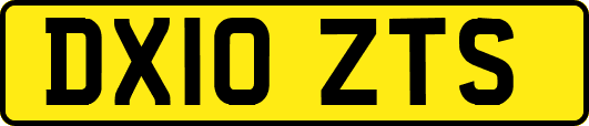 DX10ZTS