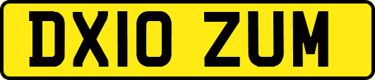 DX10ZUM