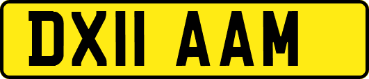 DX11AAM