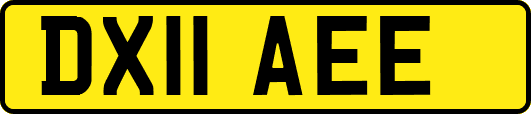DX11AEE