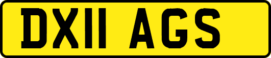 DX11AGS