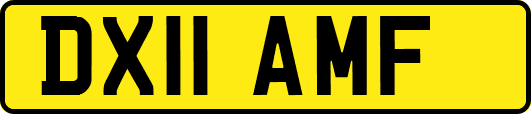 DX11AMF