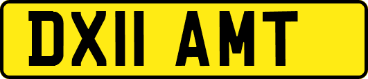 DX11AMT