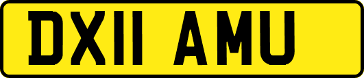 DX11AMU