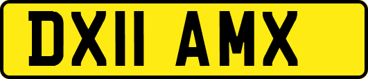 DX11AMX