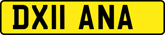 DX11ANA