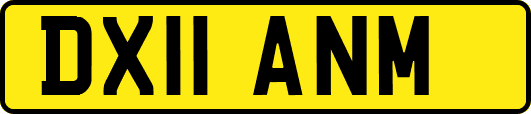 DX11ANM