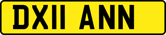 DX11ANN