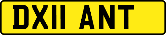 DX11ANT