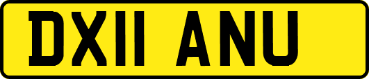 DX11ANU
