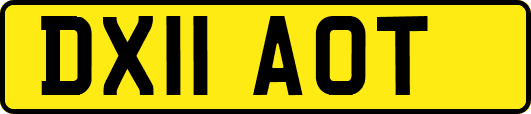 DX11AOT
