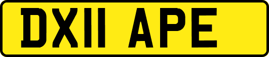 DX11APE