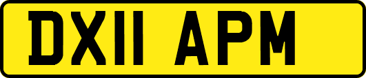 DX11APM