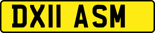 DX11ASM