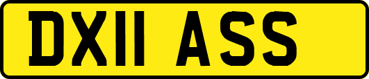 DX11ASS