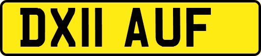 DX11AUF