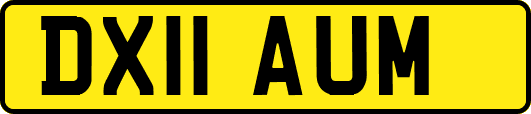 DX11AUM