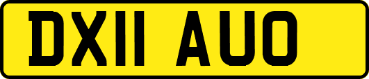 DX11AUO