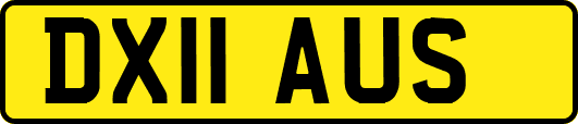 DX11AUS