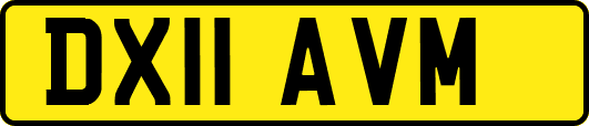 DX11AVM