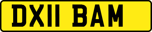 DX11BAM