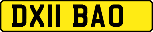 DX11BAO