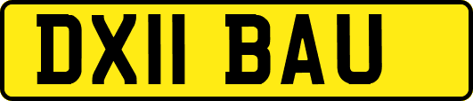 DX11BAU