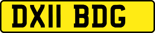 DX11BDG