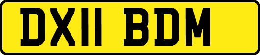 DX11BDM