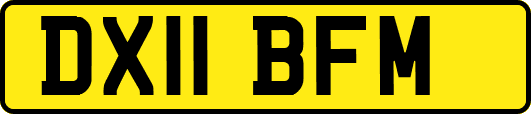 DX11BFM